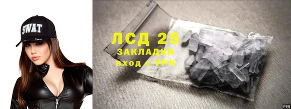 индика Алексин