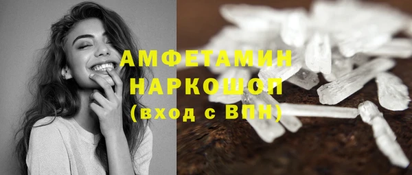 индика Алексин