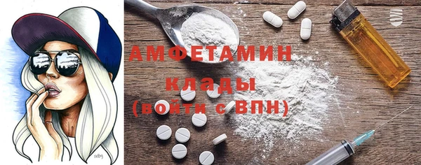 индика Алексин