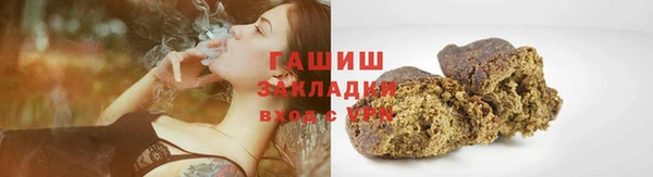 прущие грибы Алзамай