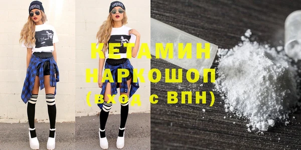 индика Алексин