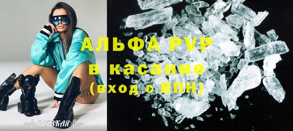 индика Алексин