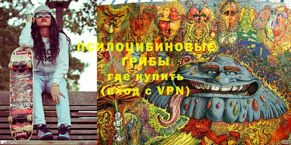 спиды Алексеевка