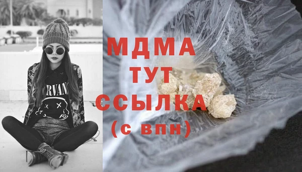 прущие грибы Алзамай
