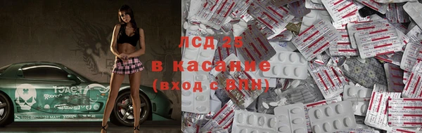 индика Алексин