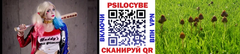 Псилоцибиновые грибы мицелий Рошаль